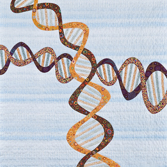 Double Helix II, front