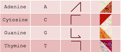 genome quilt description